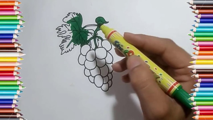 How to Draw Grapes Easy and Step By Step | Teach Drawing for Kids and Toddlers Coloring Page Video