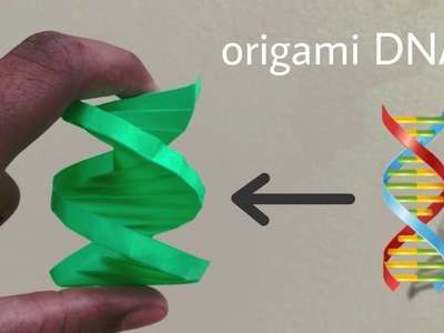 Origami DNA