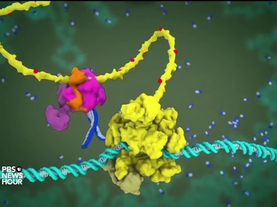 These 3D animations could help you finally understand molecular science