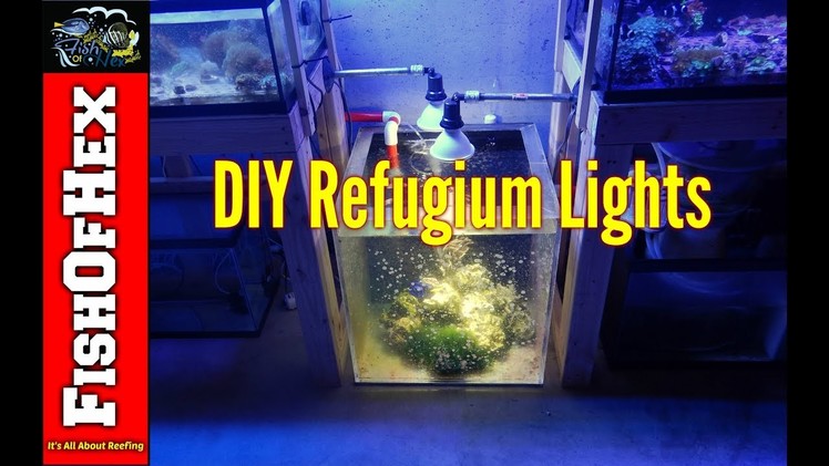 DIY Refugium Light for $13.00 | Fish Room Setup Part 7
