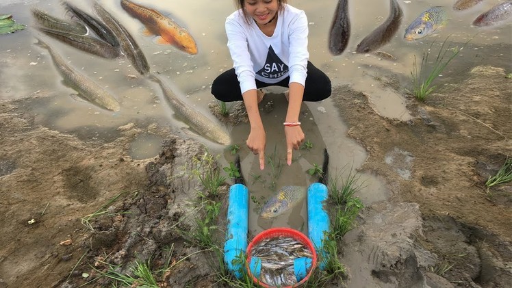 DIY Trap! Farm Girl Make Quick Fish Trap Using Pipe Tap And Basket Bin Trap To Catch A Lot Of Fish