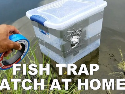 FISH TRAP BIN!: Homemade DIY Fish Trap Catches Fish!