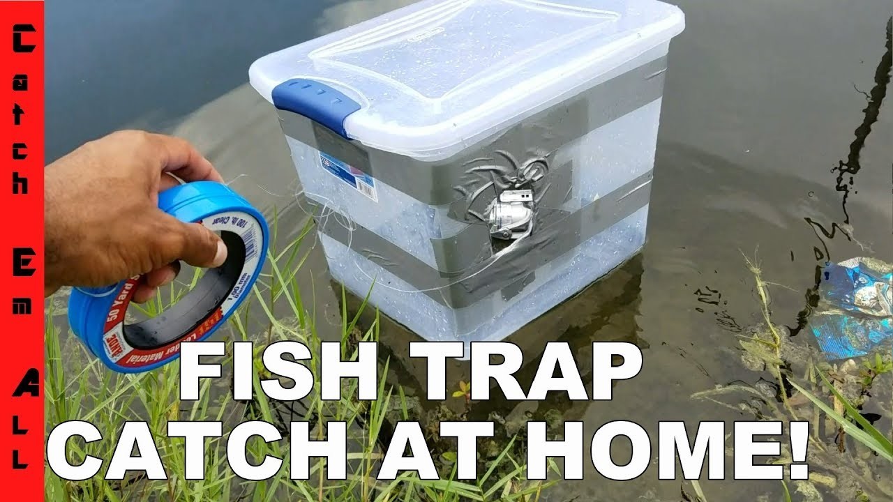 Trapping перевод. Fish Trap. Fish in Traps. Fish Trap перевод. Fish bin.