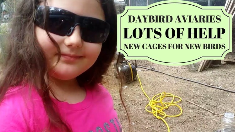 How to Build A Bird Cage - DIY Aviary - Suspended Aviary