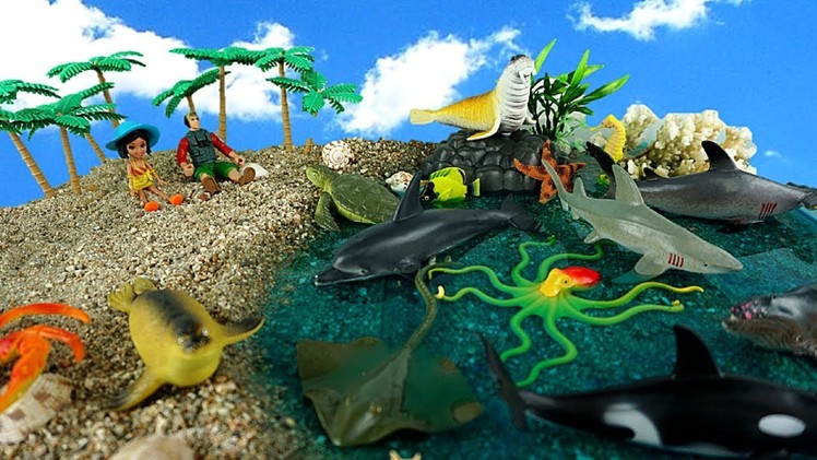 Learn Learning Sea Animals - DIY Slime Beach for Kids Sharks, Seal, Fish - Learn Dinosaurs Names