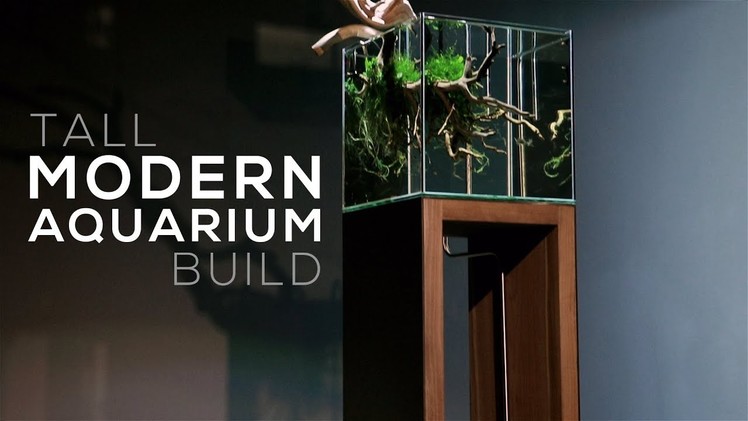 Modern Aquarium Build - DIY Aquarium Stand Design Ideas
