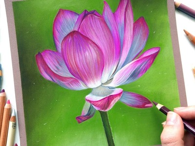 Drawing a Lotus flower with pastel pencils | Leontine van vliet