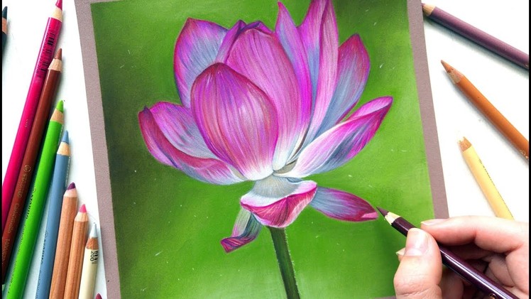 Drawing a Lotus flower with pastel pencils | Leontine van vliet