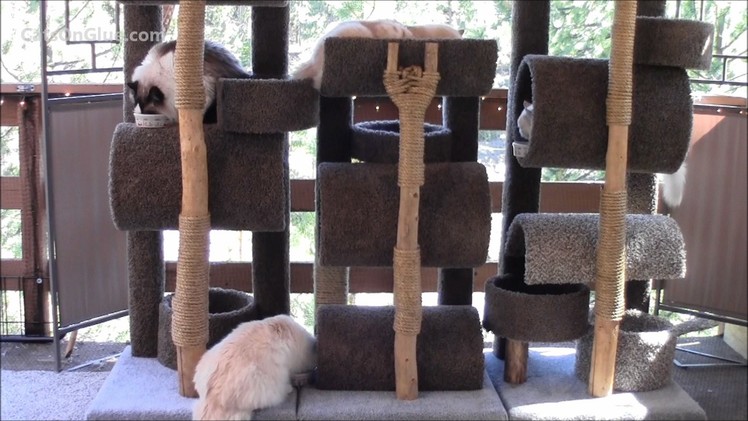 How To Build A Six Foot Cat Tree