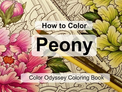 How to Color Peony | Adult coloring book: Color Odyssey by Chris Garver