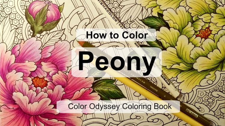 How to Color Peony | Adult coloring book: Color Odyssey by Chris Garver