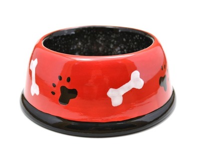 How to Paint Pottery with Stencils:  Dog Bowl with Bone and Paw Prints