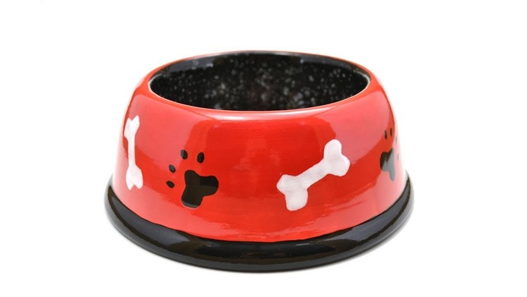 How to Paint Pottery with Stencils:  Dog Bowl with Bone and Paw Prints