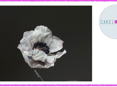 Poppy Flower: How to make it in  Sugar or Cold Porcelain