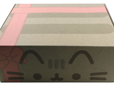 Pusheen Box Winter 2016 Subscription Box Unboxing Review