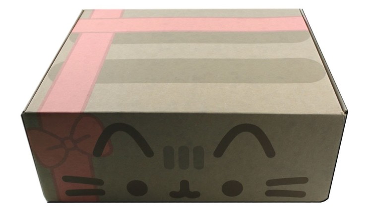 Pusheen Box Winter 2016 Subscription Box Unboxing Review