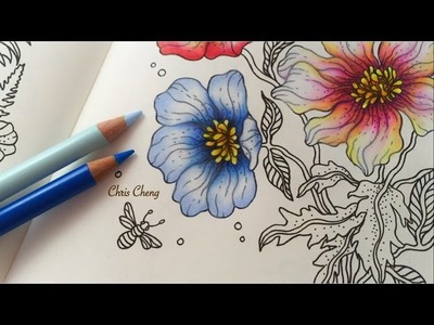 Spring Flower 3.5 : Daydreams Coloring Book | Coloring With Colored Pencils