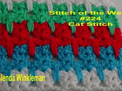 Stitch of the Week #224 Cat Stitch  (Free Pattern at the end of the video)