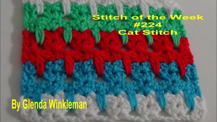 Stitch of the Week #224 Cat Stitch  (Free Pattern at the end of the video)