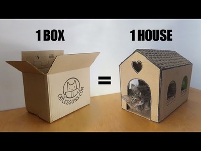 Transform a Simple Box into a Cat House