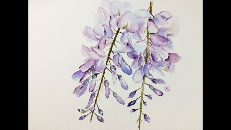 Watercolor Wisteria Flowers Painting Demonstration