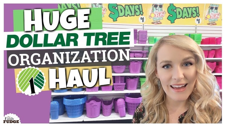 DOLLAR TREE ORGANIZATION HAUL || Dollar Tree Ideas & Tips || The Family Fudge