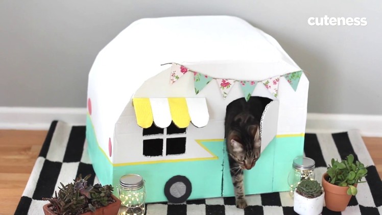 How To Build A Vintage Kitty Camper - Cuteness.com