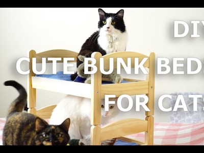 [How To] Bunk bed for cats! IKEA HACK
