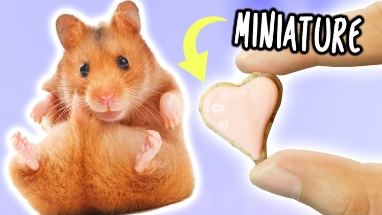 Making MINIATURE COOKIES For My Hamster!!!