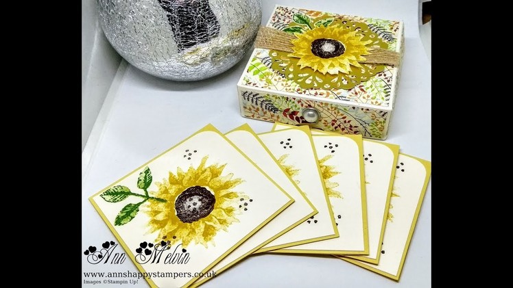 Painted Harvest Note Cards, Envelopes & Matching Gift Box!