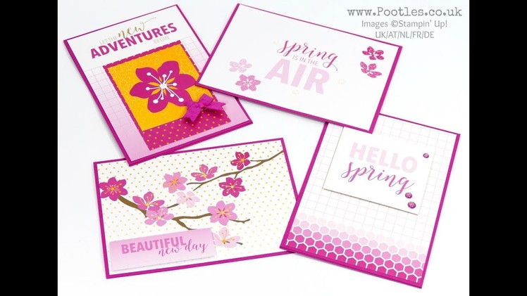 Stampin' Up! Memories and More 20 card showcase