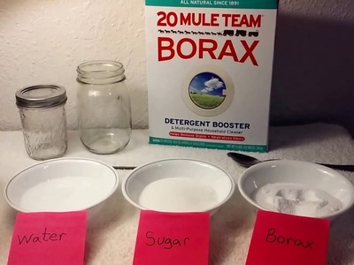 Borax and DIY Ant Trap (with educational, health, and safety facts using all natural  Borax).