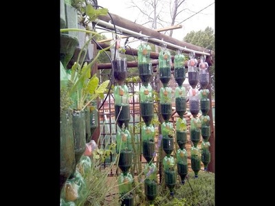 How to Make A Hanging  disposable Bottle Garden