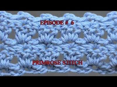 Stitch Gallery & Glossary Episode #6: Primrose Stitch