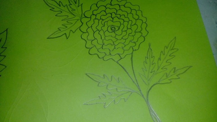 গাঁদাফুল আঁকা.Marigold Flower Drawing For Kids.