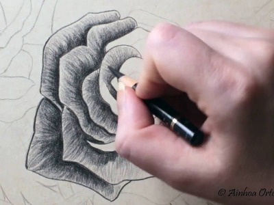 Cómo dibujar una rosa negra con lápices de colores Polychromos