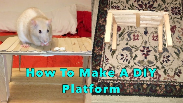 DIY Platform For Rats