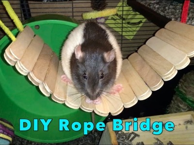 DIY Popsicle Stick Bridge For Rats