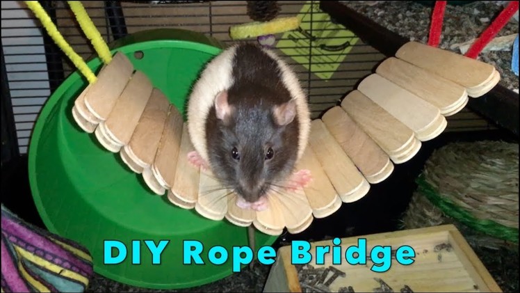 DIY Popsicle Stick Bridge For Rats