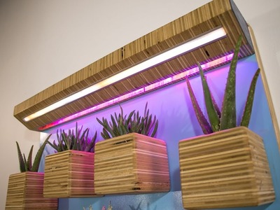 DIY Wall Garden | Plywood Planters & LED Grow Lights