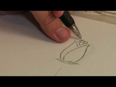 Drawing Lessons : How to Draw a Rose & Stem