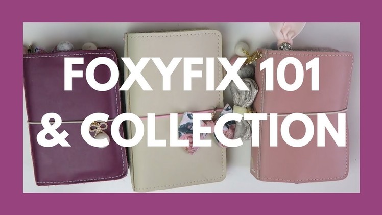 FOXYFIX 101. Intro, Size Comparison, and My Foxyfix Collection!