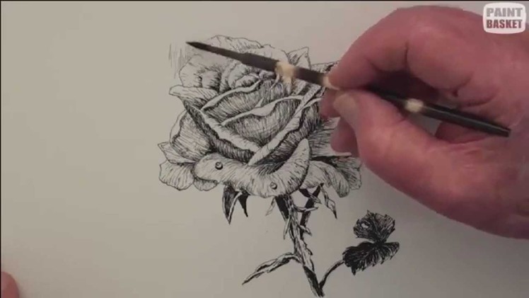 How to draw a rose in pen & ink 4