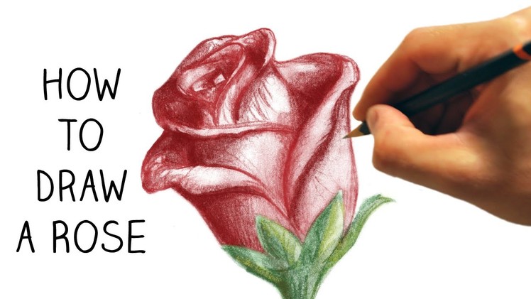 How to Draw a Rose - Step by Step - Narrated - Easy