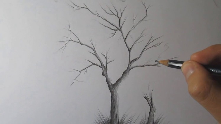 How to Draw a Tree and Birds With Pencil Step by Step - Timelapse