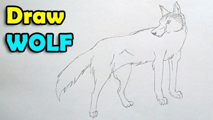How to draw a wolf step by step easy for kids