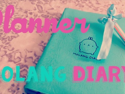 Planner Molang Diary-UNBOXING ALIEXPRESS