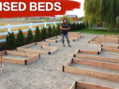 Setting up Raised Beds. Garden Answer