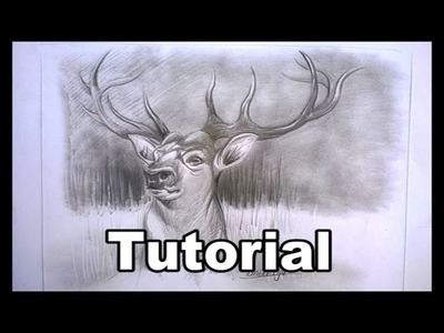 DEER drawing in graphite - very easy for beginners