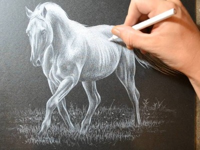 Drawing a Horse with a White Colored Pencil Crayon